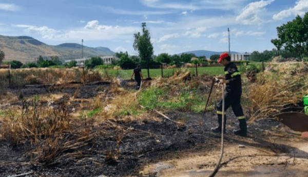 Συλλήψεις και πρόστιμα σε Πιερία και Χαλκιδική για εμπρησμούς από αμέλεια