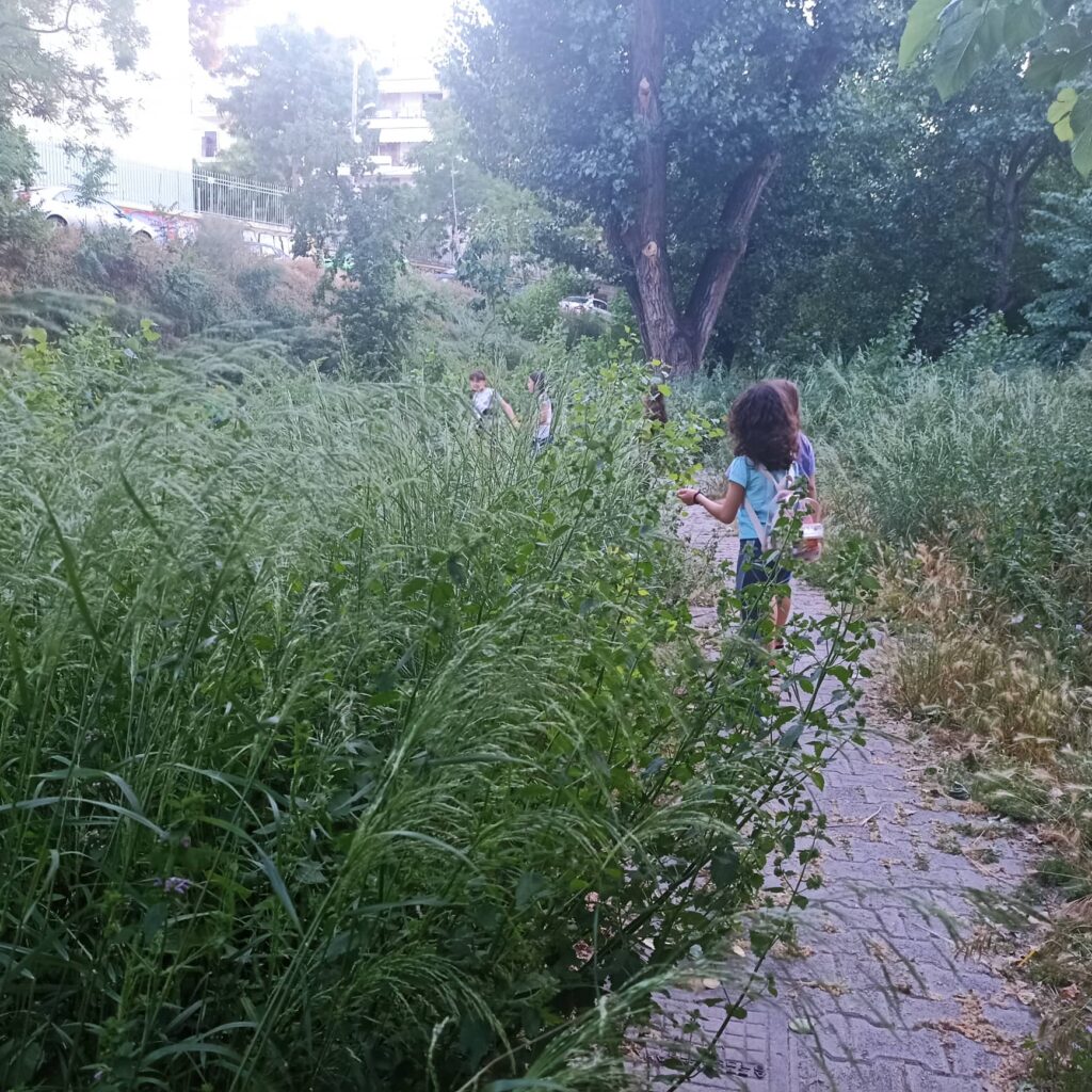 Θεσσαλονίκη: Εικόνες ντροπής στο γήπεδο Φιλίππου στην Υφανέτ που θυμίζει… ζούγκλα – ΦΩΤΟΓΡΑΦΙΕΣ Focus FM 103.6
