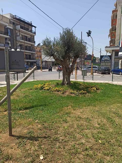 Πρόγραμμα “Υιοθεσίας Χώρων Πρασίνου” στο Δήμο Κορδελιού Ευόσμου