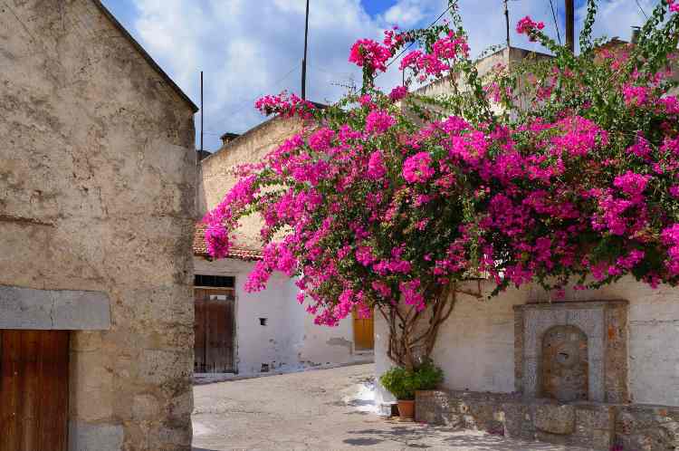 Κριτσά, Κρήτη: Μηπως ήρθε η ώρα να επισκεφτείς ένα απ τα πιο όμορφα, παραδοσιακά χωριά που έγιναν τα γυρίσματα ταινιών όπως «Φουρτουνάκηδες και Βροντάκηδες» και «Ο Χριστός Ξανασταυρώνεται»;
