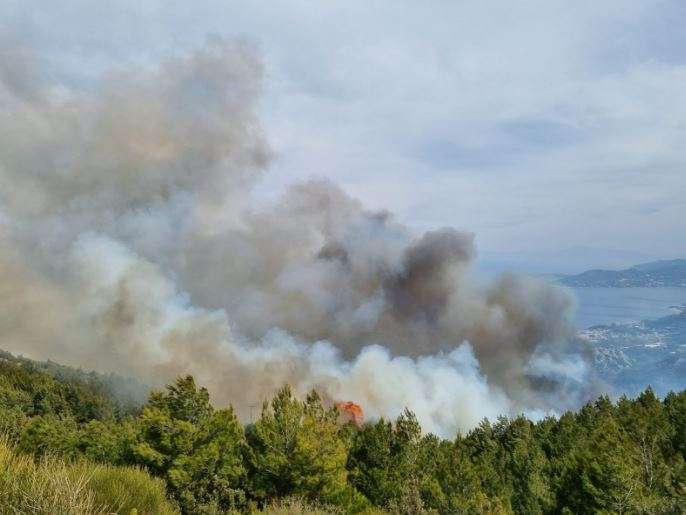 Χαλκιδική: Μάχη με τις φλόγες στη Μόλα Καλύβα – Υπό έλεγχο η φωτιά στον Μαρμαρά