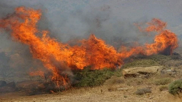 Σε ύφεση η φωτιά στη Λίμνη Δασίου στο Ξυλόκαστρο Κορινθίας