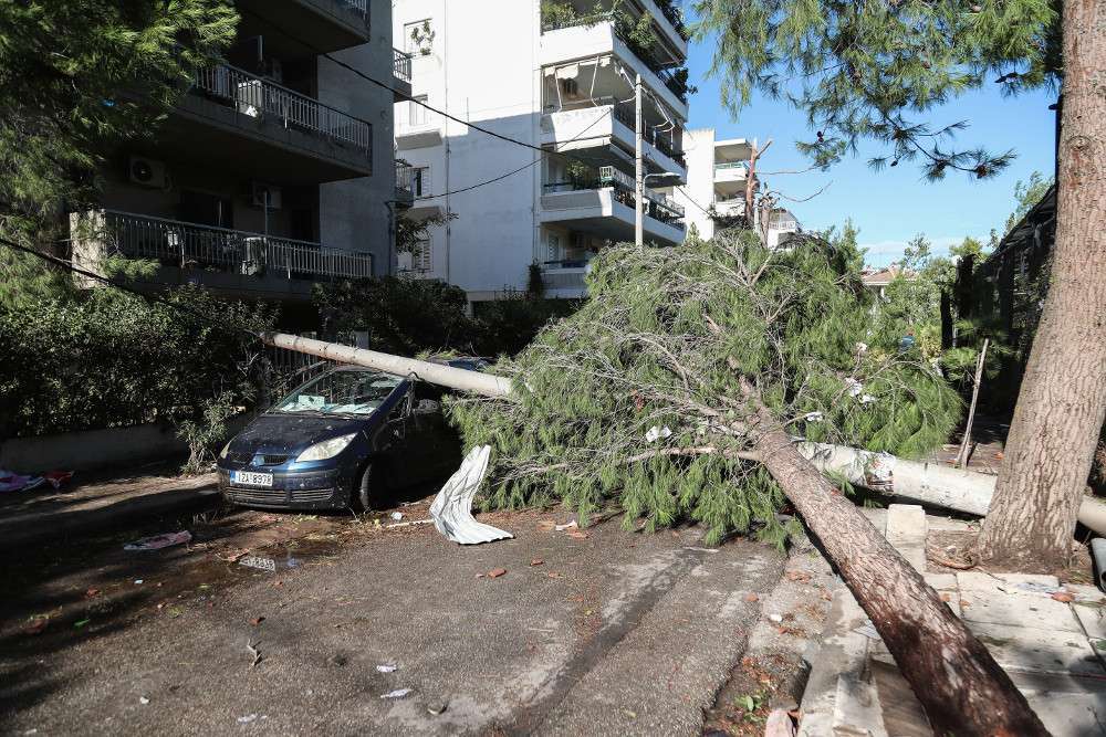 Θεσσαλονίκη: Πτώσεις δέντρων και διακοπές ρεύματος και σήμερα – Επί ποδός η Πυροσβεστική