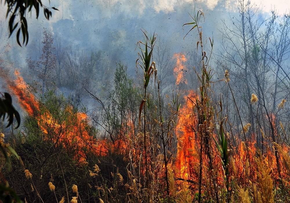 Υψηλός κίνδυνος πυρκαγιάς σήμερα σε Θεσσαλονίκη και Χαλκιδική