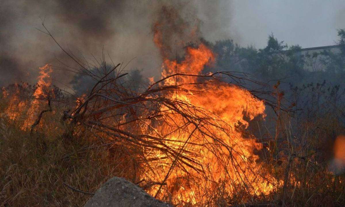 Συνεχίζεται για 6η μέρα η φωτιά στη Δαδιά Έβρου – Πολύ υψηλός κίνδυνος πυρκαγιάς σήμερα για τέσσερις περιφέρειες