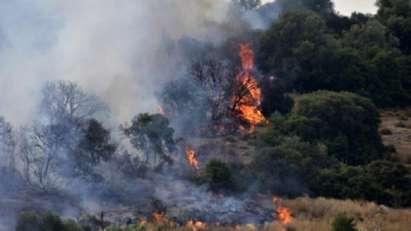 Πυρκαγιά σε αγροτοδασική έκταση στο Άγιο Όρος