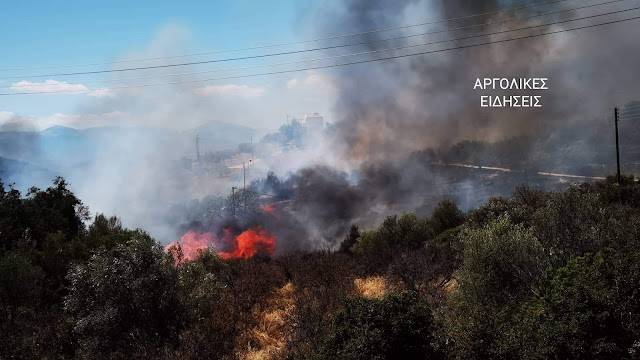 Συναγερμός στην Πυροσβεστική: Σε εξέλιξη πυρκαγιά στα Πυργιώτικα Αργολίδας