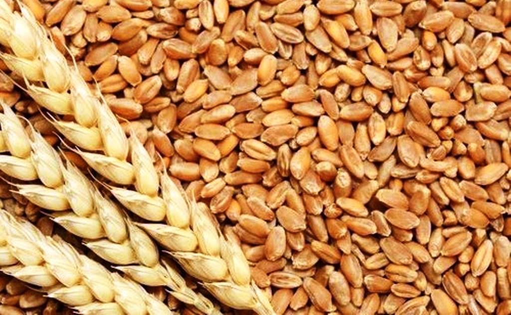 Άλλα δύο πλοία με φορτία δημητριακών αναχώρησαν από ουκρανικά λιμάνια