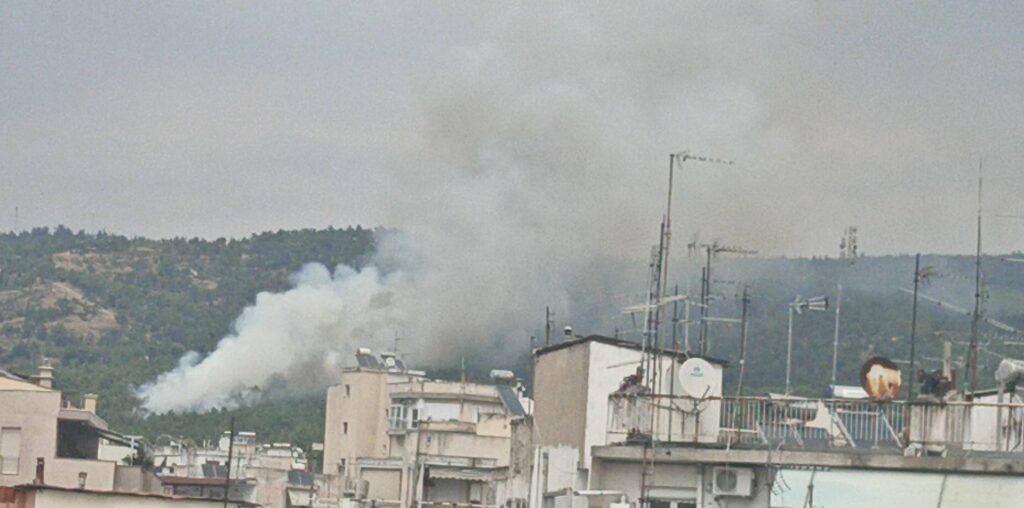 ΕΚΤΑΚΤΗ ΕΙΔΗΣΗ: Φωτιά τώρα στο δάσος του Σέιχ Σου!