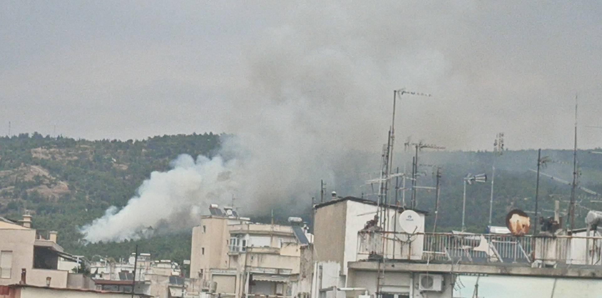 ΕΚΤΑΚΤΗ ΕΙΔΗΣΗ: Φωτιά τώρα στο δάσος του Σέιχ Σου!