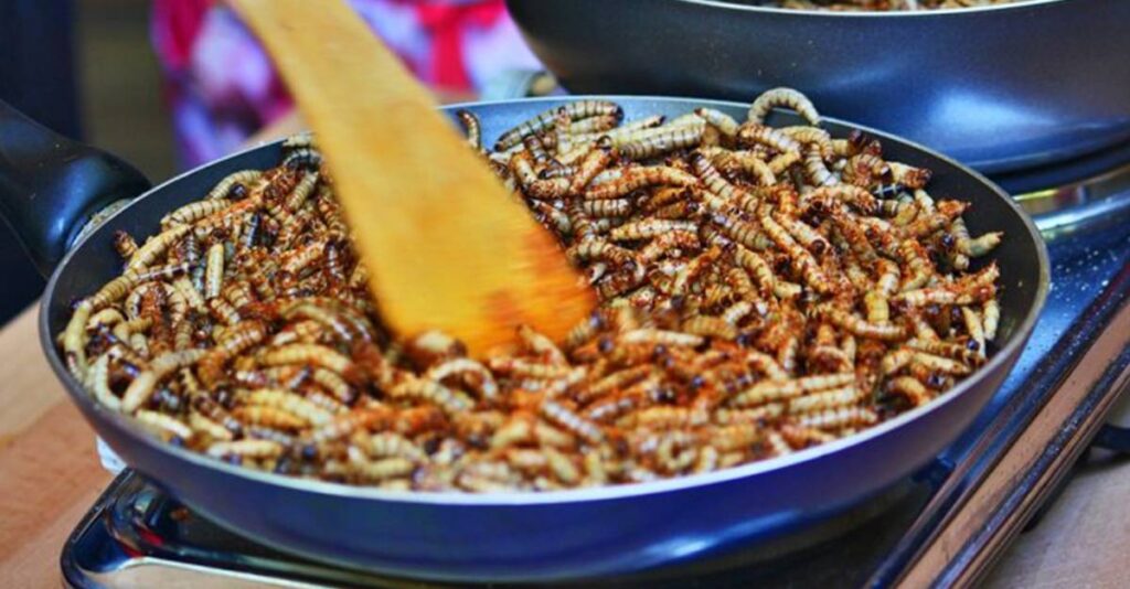 Απάντηση στην επισιτιστική κρίση; – Η Κομισιόν προτείνει έντομα ως τροφή