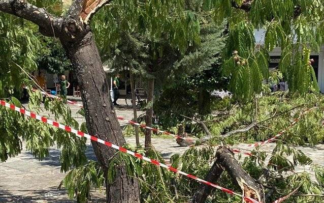 Καλαμάτα: Ζημιές στην πλατεία Όθωνος από ξαφνικό ανεμοστρόβιλο