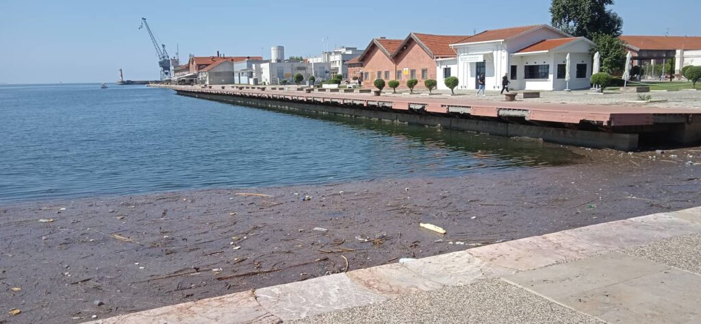 Θεσσαλονίκη: Γεμάτος σκουπίδια και πάλι ο Θερμαϊκός (ΦΩΤΟ-ΒΙΝΤΕΟ)