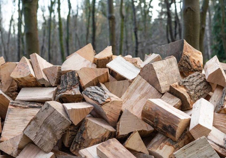 Θεσσαλονίκη: Έκλεψαν 20 τόνους καυσόξυλα – Θα μοιράζονταν σε οικογένειες ορεινών περιοχών
