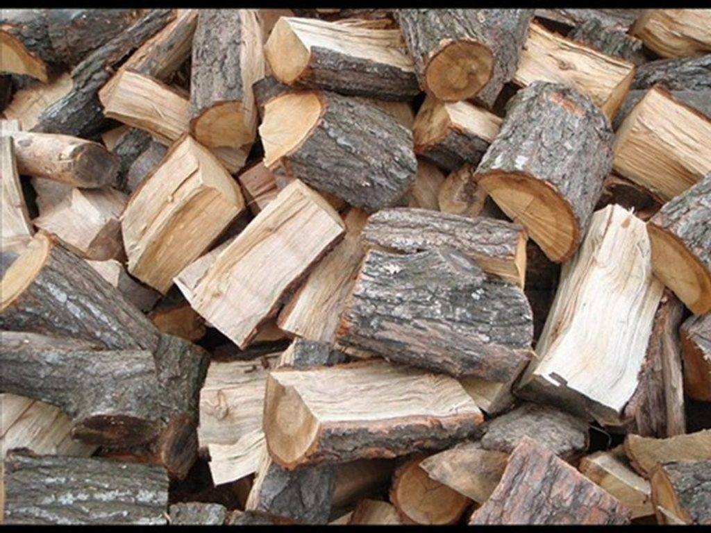 Ποιοι δικαιούνται δωρεάν καυσόξυλα για το χειμώνα