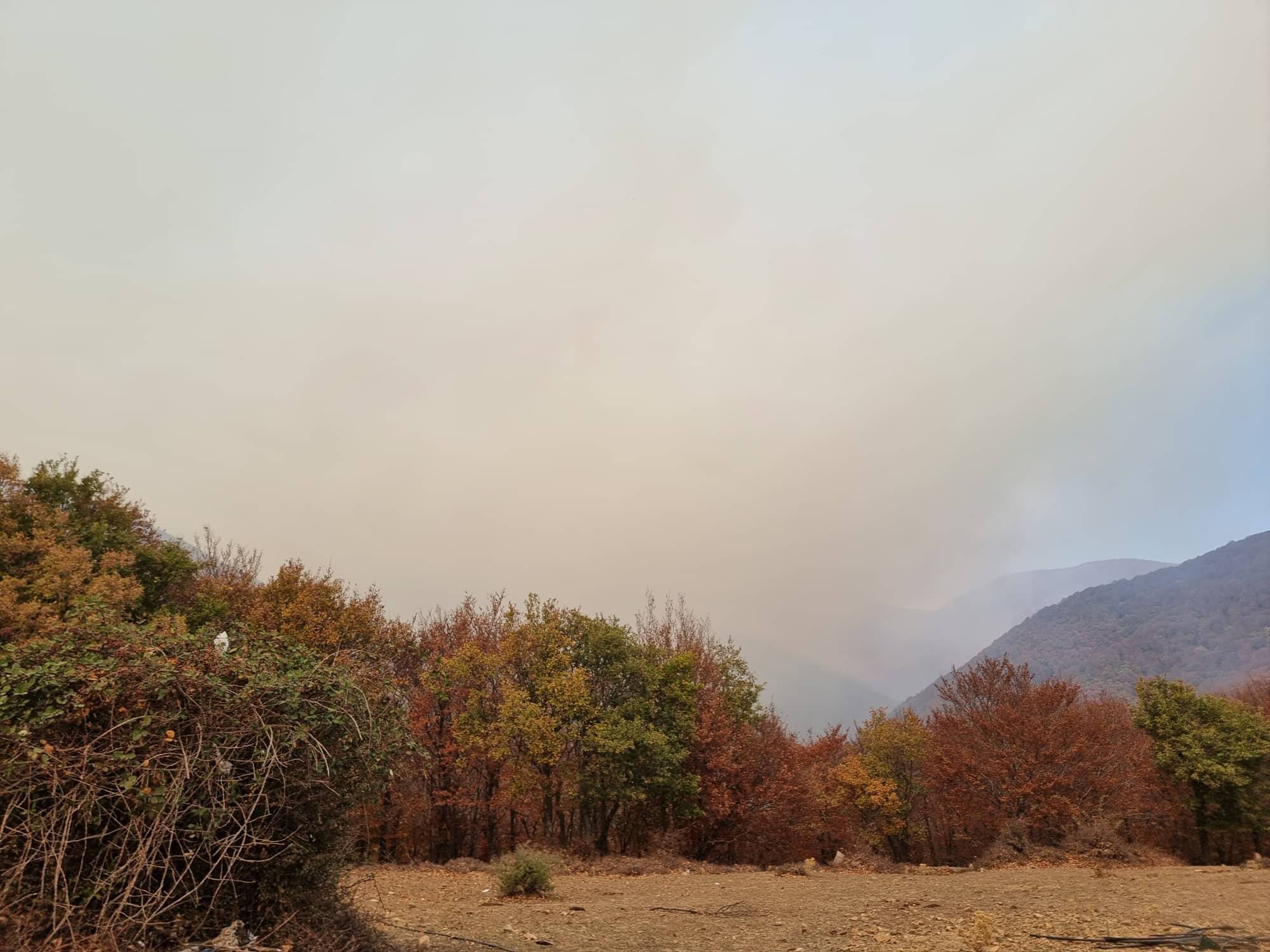 Μαίνεται για 14η ημέρα η πυρκαγιά στο Παπίκιο Όρος – Ανικανότητα ή έλλειψη σχεδίου; // ΗΧΗΤΙΚΟ