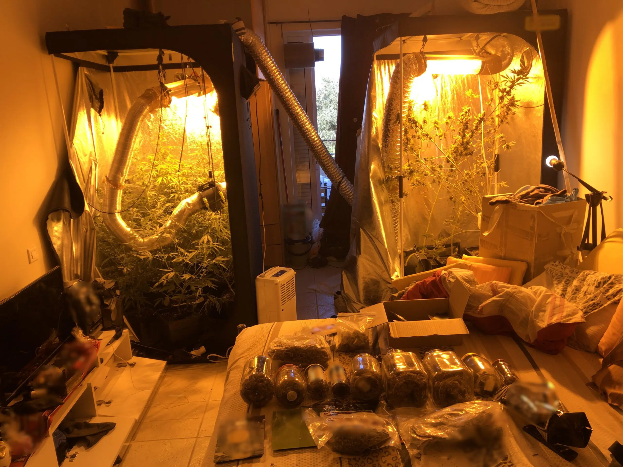 Συνελήφθη άνδρας για καλλιέργεια και κατοχή ναρκωτικών στην Πάτρα