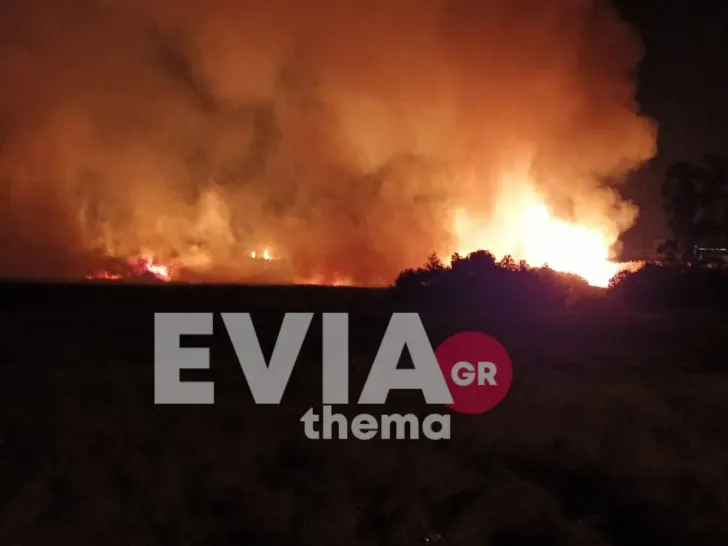 Φωτιά στην Εύβοια: Μεγάλη οικολογική ζημιά – Κάηκαν πάνω από 40 στρέμματα υγροβιότοπου