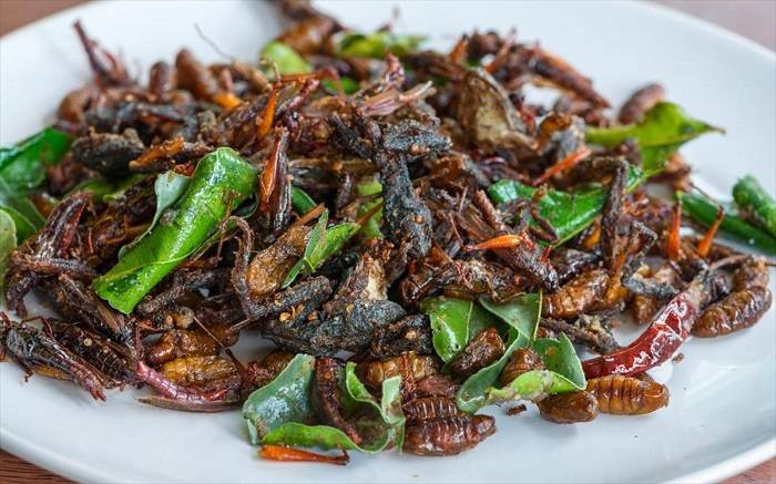 Ελληνική Λύση: Zήτησε την απαγόρευση της βρώσης εντόμων