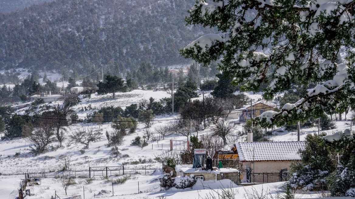 Παγετός στα ορεινά της Ημαθίας- Στους -16°C η θερμοκρασία σήμερα το πρωί