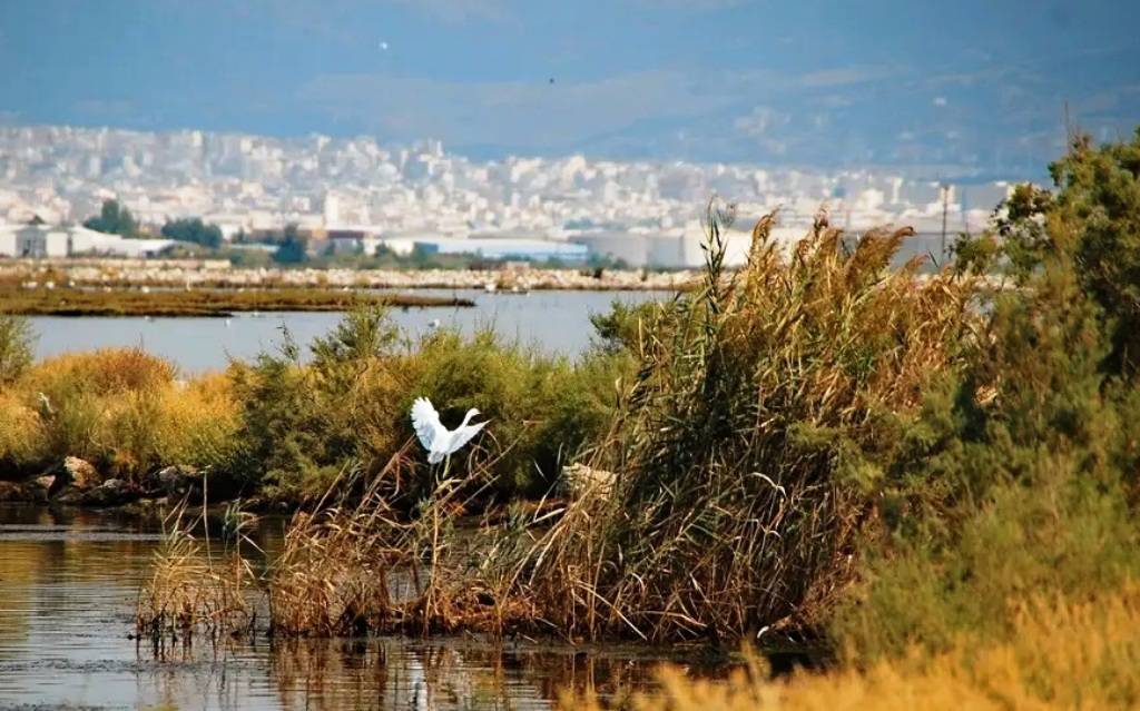 Θεσσαλονίκη: Εθελοντές αναλαμβάνουν τον καθαρισμό τμήματος του Γαλλικού ποταμού