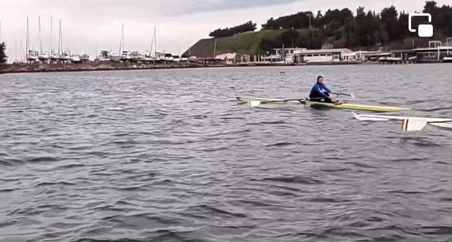 Θεσσαλονίκη: Δελφίνια έκαναν την εμφάνισή τους ανοιχτά της Kαλαμαριάς // ΒΙΝΤΕΟ