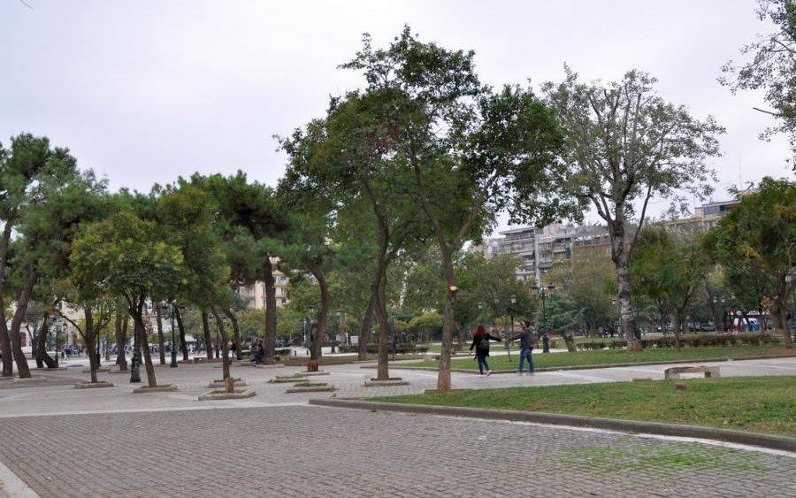 Θεσσαλονίκη: Απορρίφθηκε το αίτημα για “πάγωμα” της κοπής δέντρων στην πλατείας Αρχαίας Αγοράς