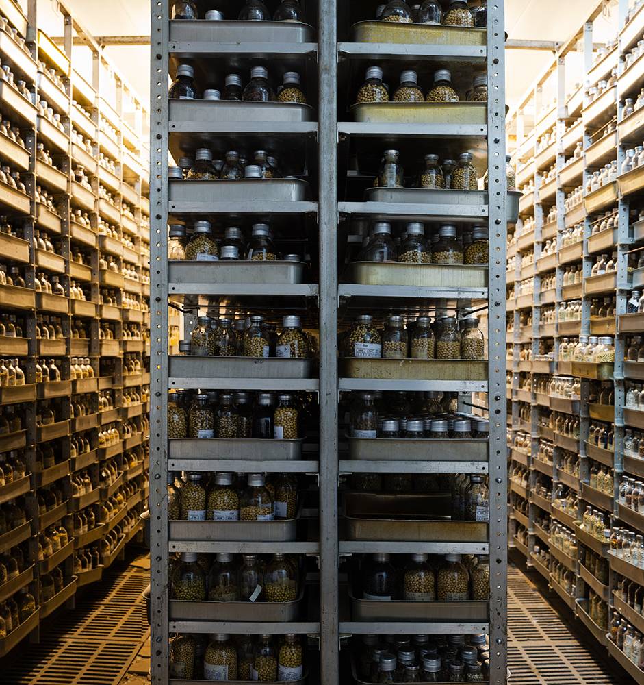 Ρωσία: Υπόγειο θησαυροφυλάκιο σπόρων για το ενδεχόμενο πυρηνικού πολέμου // ΒΙΝΤΕΟ