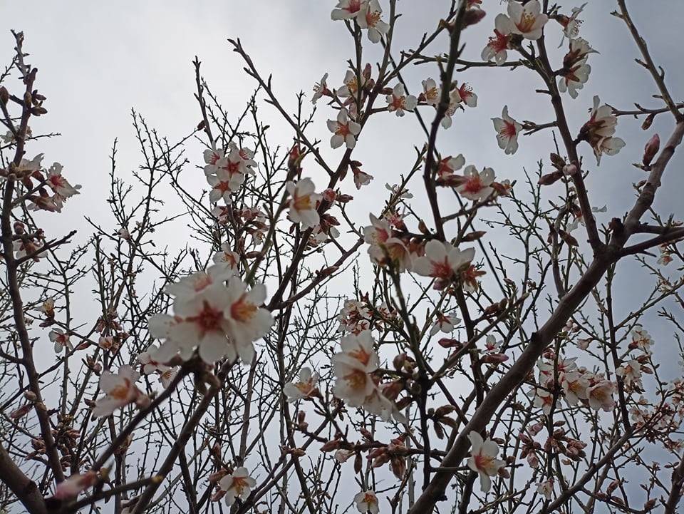 Καιρός: Ανεβαίνει η θερμοκρασία την Τρίτη – Σε ποιες περιοχές θα βρέξει