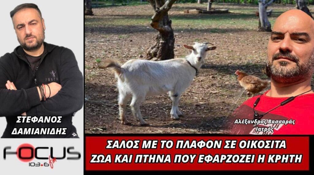 Σάλος με το πλαφόν σε οικόσιτα ζώα και πτηνά που εφαρμόζει η Κρήτη