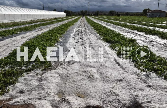 Ηλεία: Μεγάλες καταστροφές από χαλαζόπτωση σε πολλές καλλιέργειες