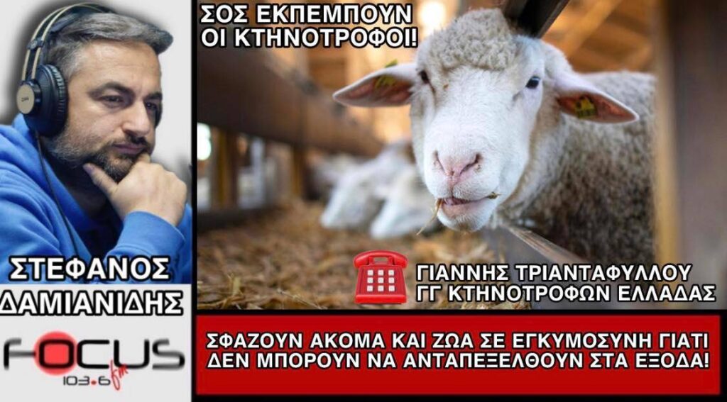 Γ. Τριανταφύλλου: «Σφάζουν ακόμα και ζώα σε εγκυμοσύνη γιατί δεν μπορούν να ανταπεξέλθουν στα έξοδα»