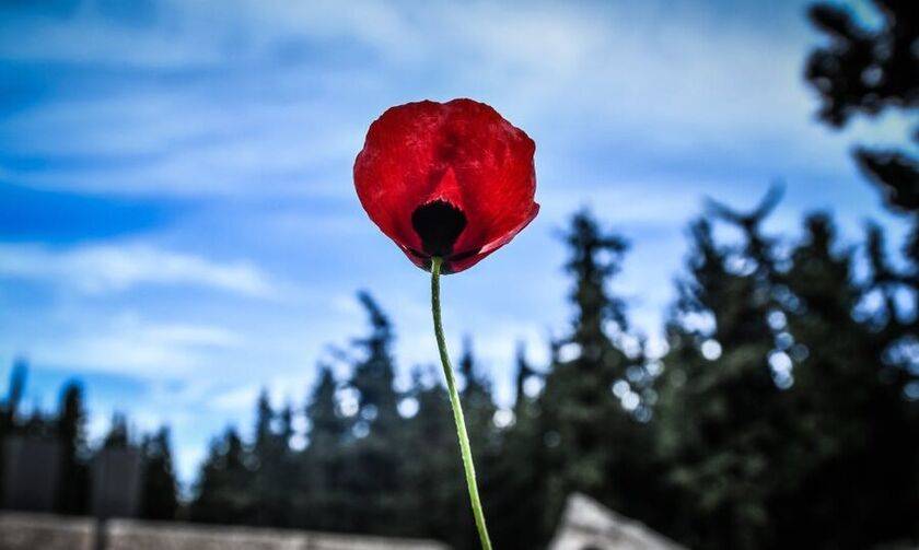 Ο καιρός σήμερα στη Μακεδονία και στη Θράκη