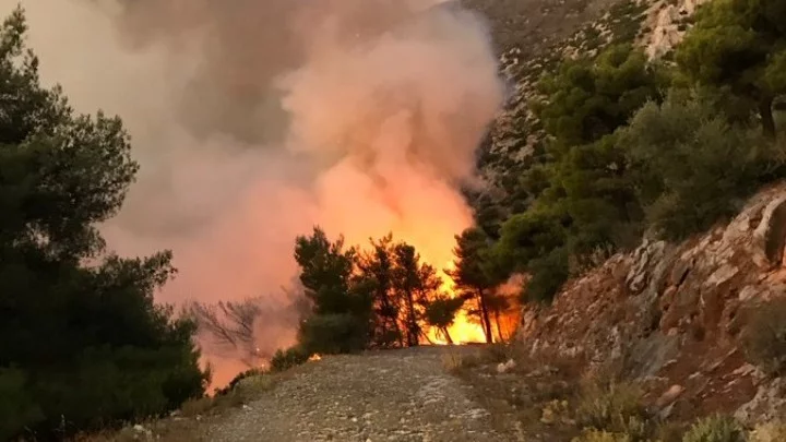 Λάρισα:Φωτιά σε δασική έκταση στο Κυψελοχώρι