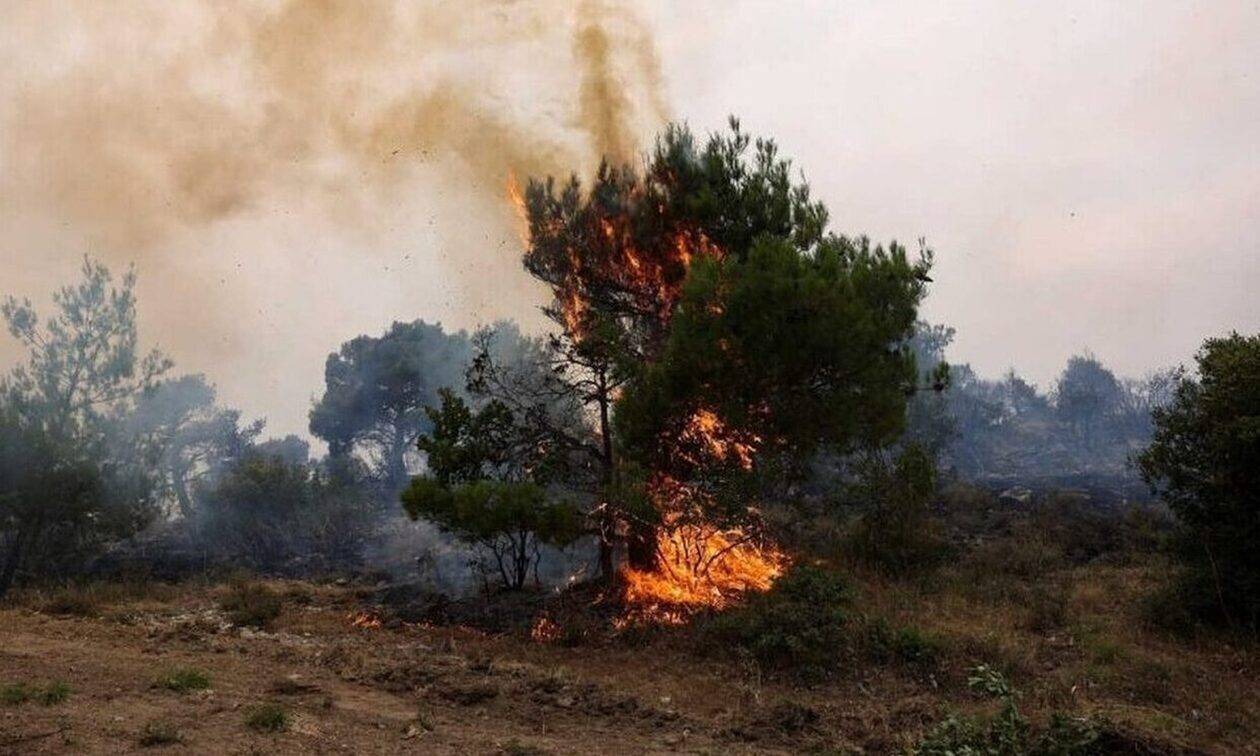 Μεγάλη φωτιά στο Μαρκόπουλο Ωρωπού