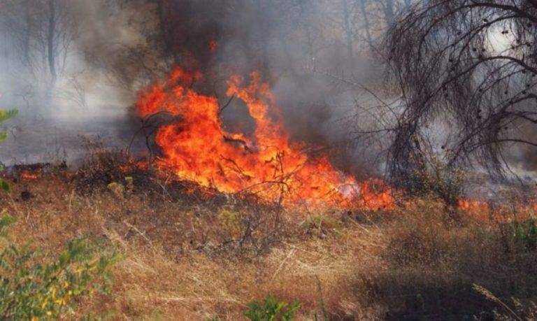 Ηλεία:Δύο τα πύρινα μέτωπα