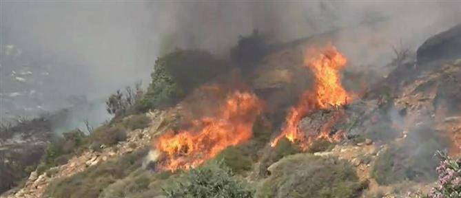 Υπό έλεγχο η φωτιά μεταξύ Μεταμόρφωσης και Νικήτης στη Χαλκιδική
