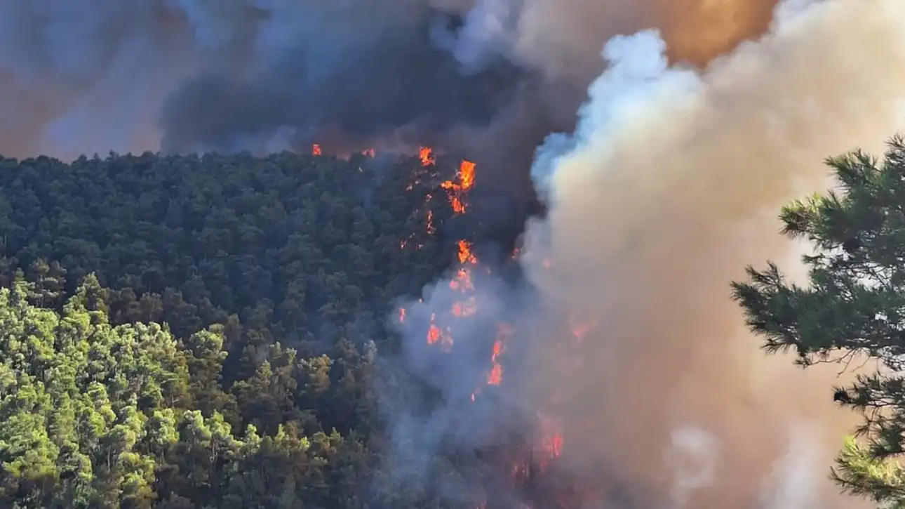 Μαίνεται η φωτιά στην Οινόη, μήνυμα από το 112 για την πυρκαγιά στα Δερβενοχώρια