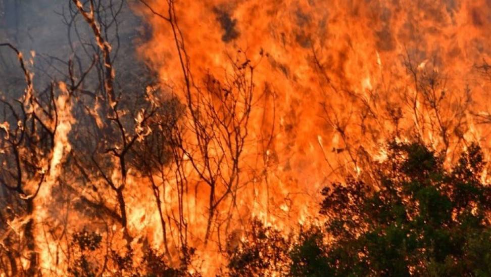 Φωτιά σε περιοχή κοντά στη Θεσσαλονίκη – Σηκώθηκε και ελικόπτερο για την κατάσβεση