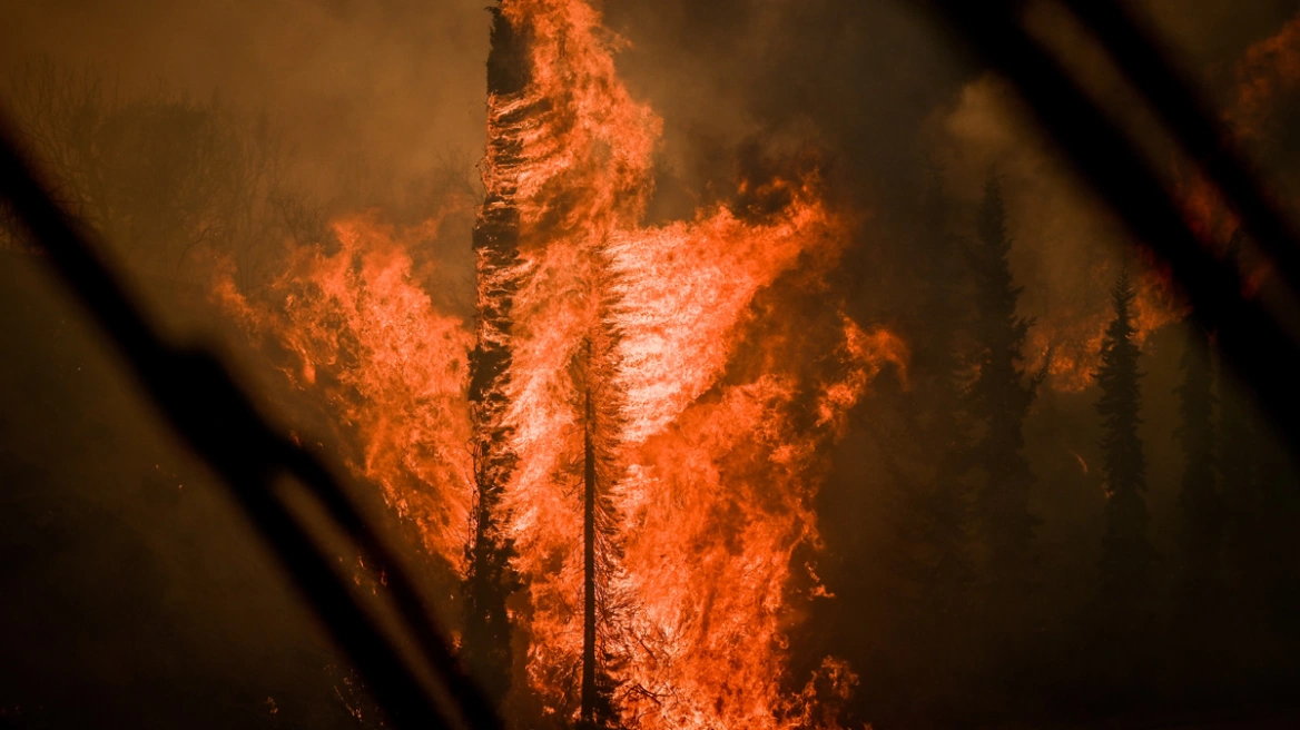 Μαγνησία:Νεκρή γυναίκα από την φωτιά στο Χοροστάσι–Απανθρακωμένος βρέθηκε ο αγνοούμενος κτηνοτρόφος στις Φέρρες