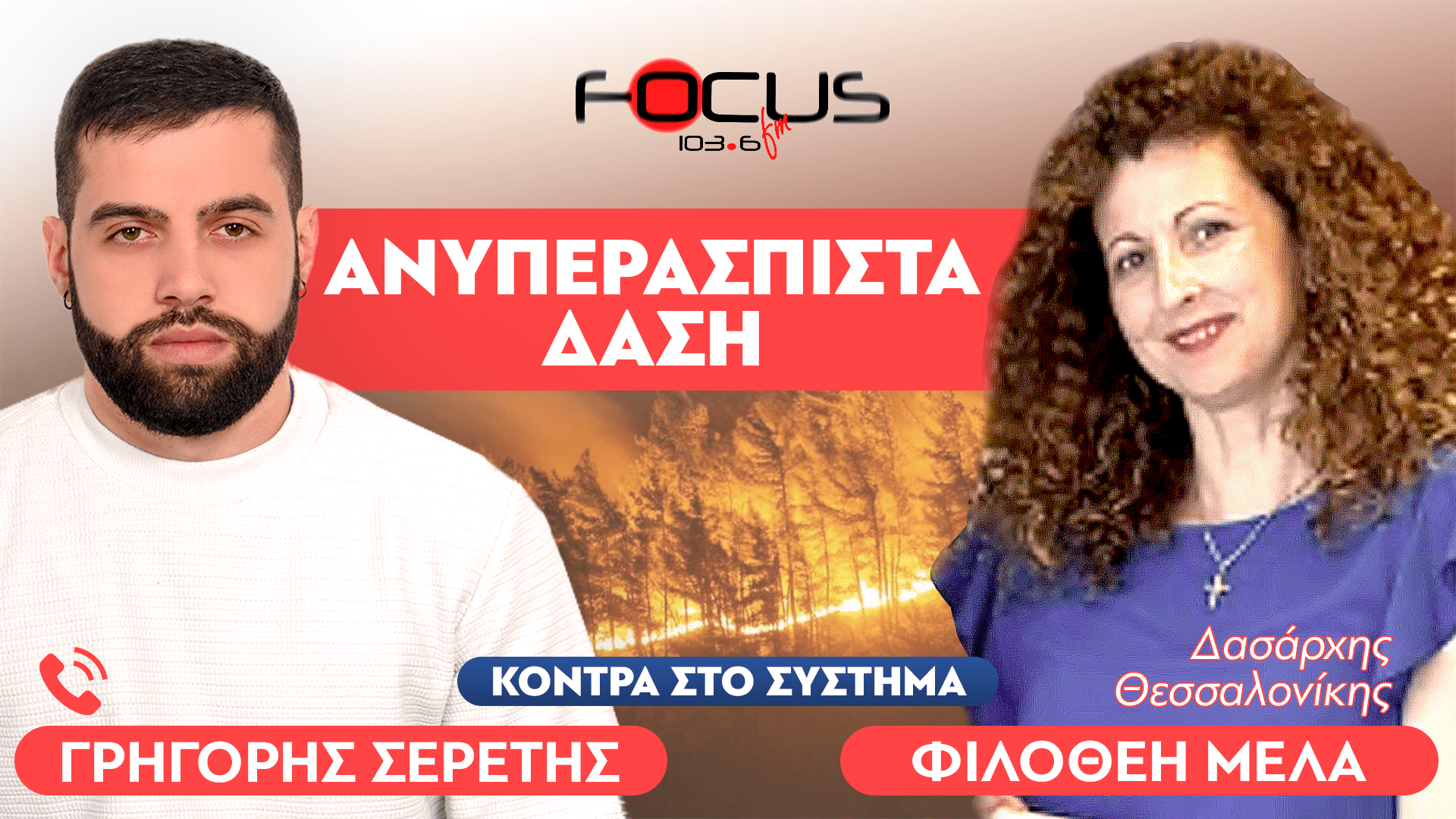 ΑΠΙΣΤΕΥΤΗ ΔΗΛΩΣΗ : «Δεν είμαι αρμόδια να μαζέψω τα κλαδιά από δημοτικό δάσος» : Δασάρχης Θεσσαλονίκης, Φιλοθέη Μελά