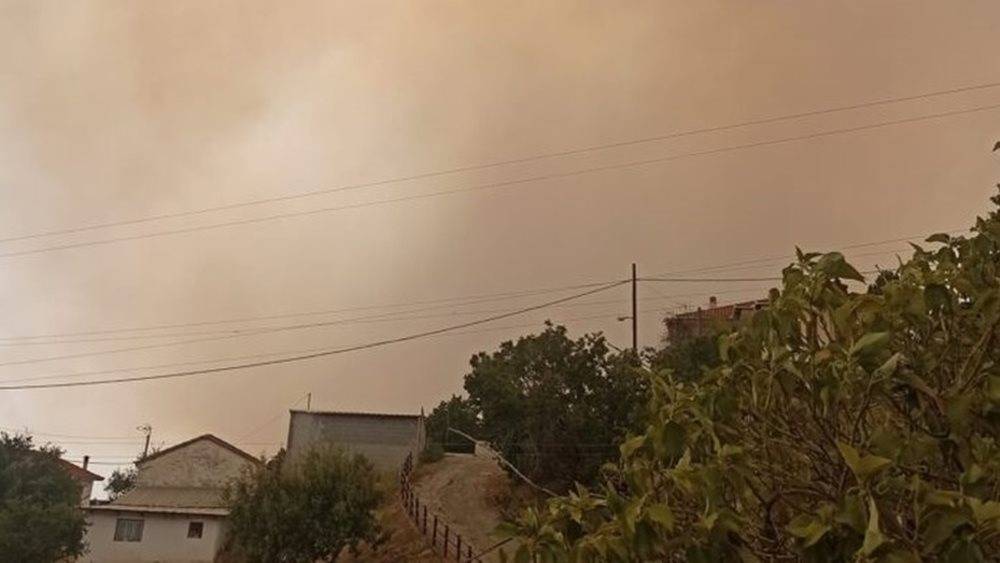 Σύλληψη ατόμου για εμπρησμό στον Αλμυρό Βόλου-Είχε στην κατοχή του εύφλεκτα υλικά