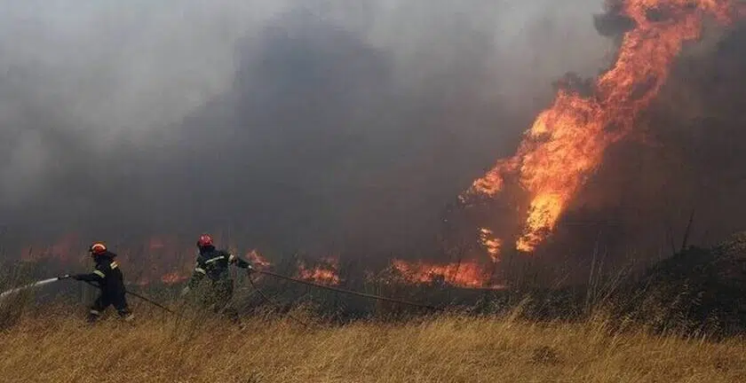 Φωτιά σε δασική έκταση στη Χίο