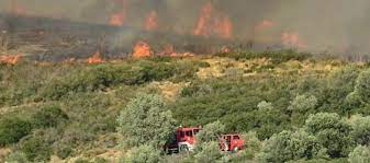 Υπό έλεγχο η πυρκαγιά στην Ηλεία-Πολύ υψηλός κίνδυνος πυρκαγιάς σε έξι περιφέρειες