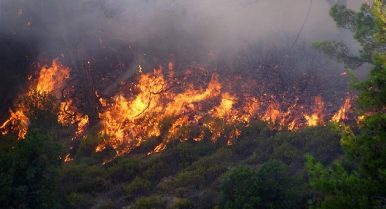 Πολύ υψηλός κίνδυνος πυρκαγιάς το Σάββατο σε Στερεά Ελλάδα, Αττική, Πελοπόννησο, Αν. Μακεδονία και Θράκη