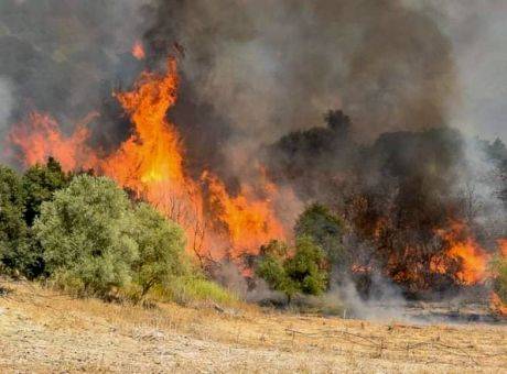 ΣΥΜΒΑΙΝΕΙ ΤΩΡΑ: Καίγεται το δάσος της Δαδιάς-Ανοίγει και κλείνει ο δρόμος προς Αλεξανδρούπολη