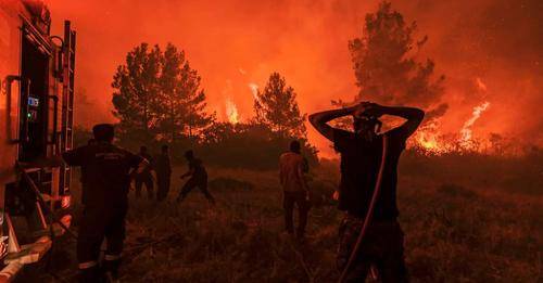 Προειδοποίηση για καρκινογόνες ουσίες στον καμένο τόπο της Μαγνησίας στον FOCUS FM 103.6 από τον καθηγητή Δ. Κουρέτα