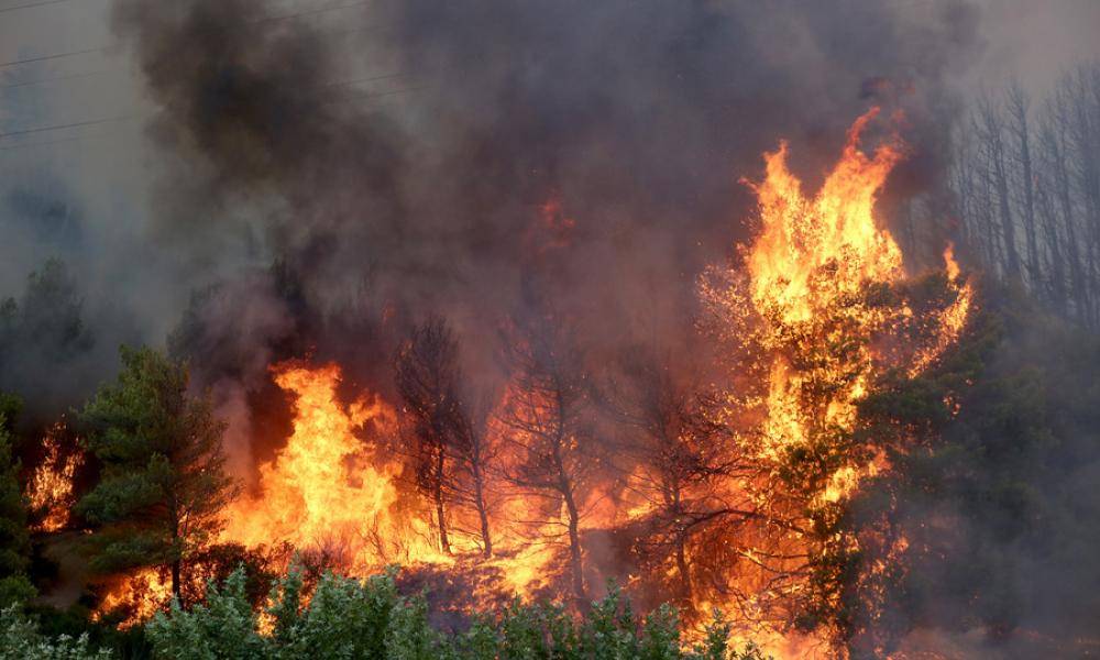 Έβρος: Ισχυρές αναζωπυρώσεις – Συναγερμός στο χωριό Κοτρωνιά