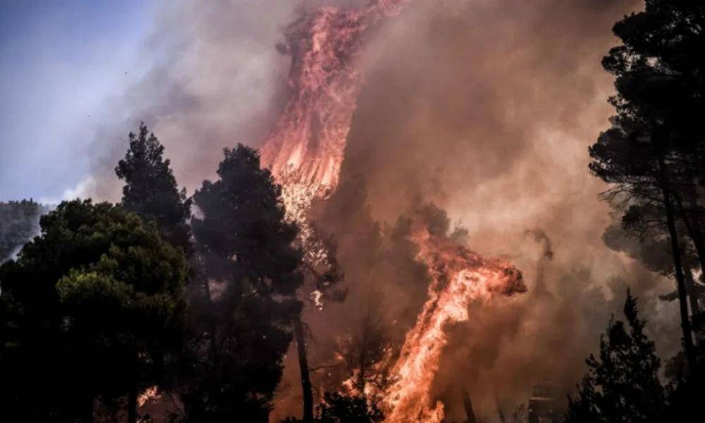 Συναγερμός για μεγάλη φωτιά στην Αλεξανδρούπολη