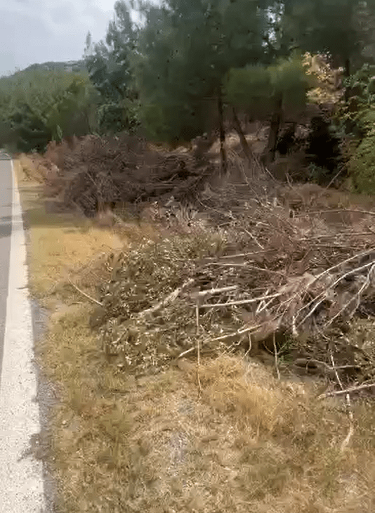 ΕΠΙΚΙΝΔΥΝΑ ΑΝΕΥΘΥΝΟΙ: «Βραδυφλεγής βόμβα» τα παρατημένα ξερόκλαδα στο δάσος Ωραιοκάστρου // ΒΙΝΤΕΟ